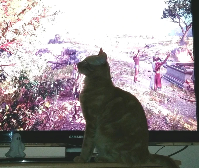 Bisig devant la télé pendant je joue à la console