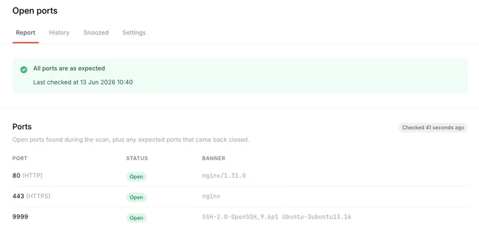 Ports 80, 443, and 9999 are open; running nginx services. Status confirmed as expected during a recent check.