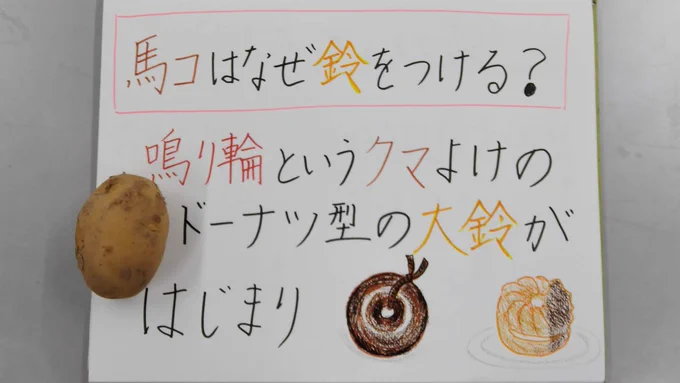 ジャガイモの別名「馬鈴薯」⇒獣よけで馬に付ける鈴に形が似ていることから