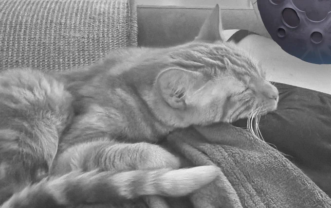 Bisig qui dort sur moi