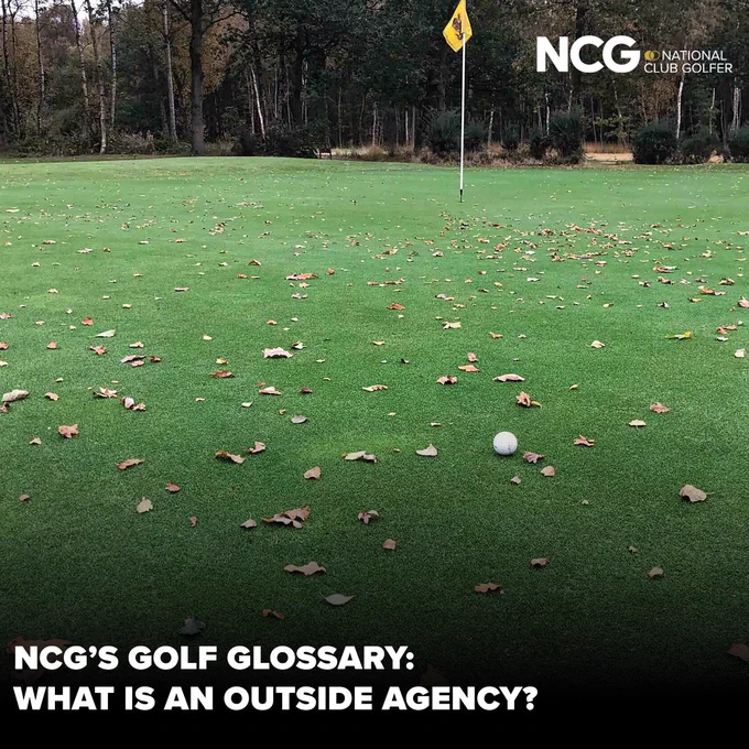 A serene golf course green scattered with autumn leaves, under a cloudy sky, with a flagstick standing prominently.