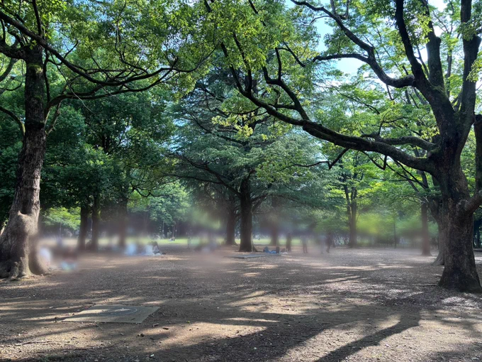 代々木公園の木々の間でピクニックをする人たち