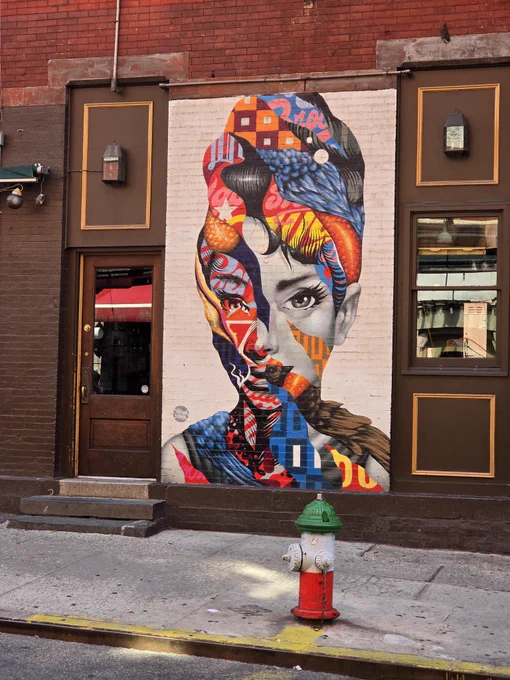 Zu sehen ist eine sehr bunte Zeichnung von Audrey Hepburn auf einer Häuserwand. Man sieht den Kopf und die Schultern. Die rechte Seite des Gesichts ist hauptsächlich in Grauntönen gemalt, der Rest in verschiedenen farbigen Mustern. Links neben dem Bild befindet sich eine Tür, rechts ein Fenster. Die umliegende Häuserwand um das Gemälde ist braun.