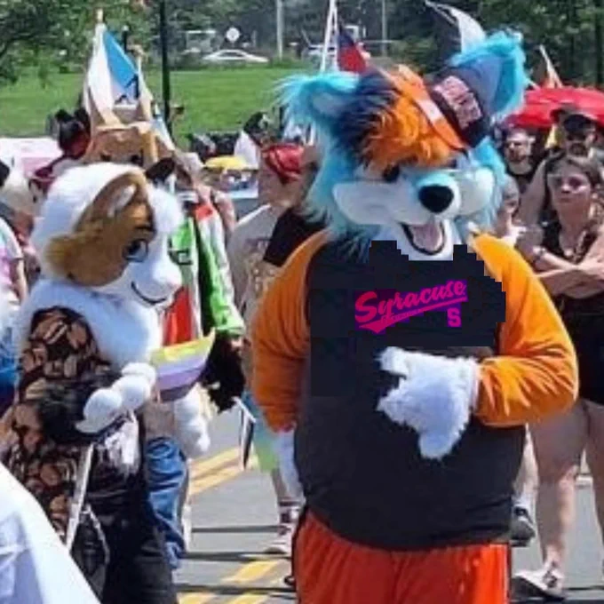 Cat and dog furries and humans
