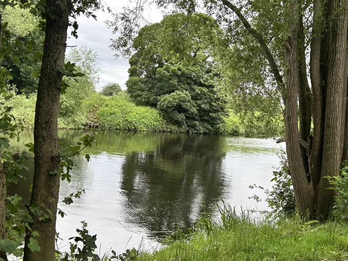 Looking through the trees across the river from the back of St. Mary Magdalene church towards a large tree on the opposite bank.