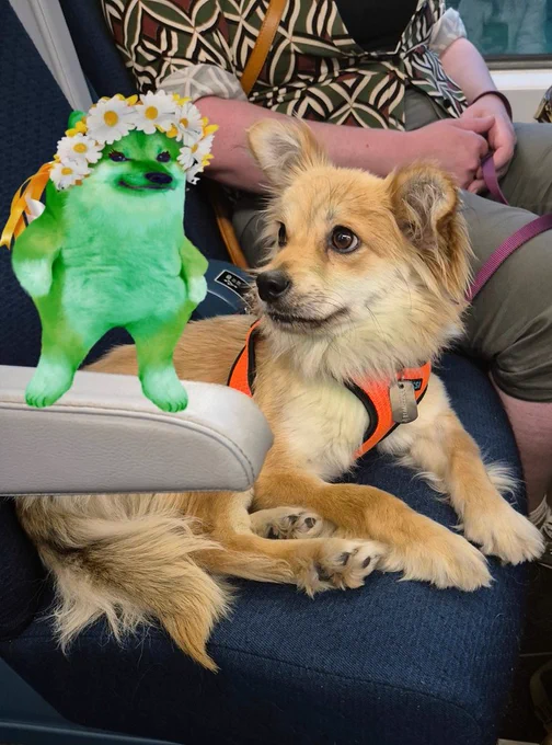 A little golden dog talks yo her green fairy pal wearing  flowers on her head