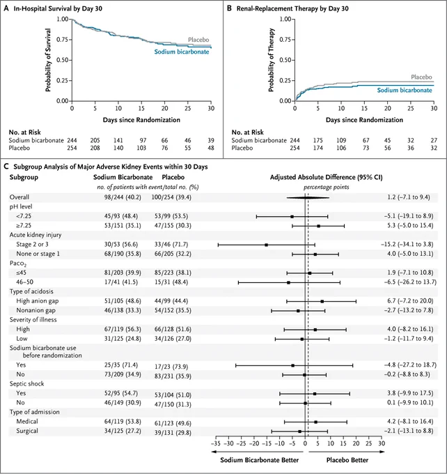 This image contains three panels of a clinical study graph and tables. Panel A displays a Kaplan-Meier survival curve comparing in-hospital survival by day 30 between sodium bicarbonate and placebo. Panel B shows a similar curve for renal-replacement therapy by day 30. Panel C contains a forest plot analyzing major adverse kidney events within 30 days across various subgroups, highlighting differences between sodium bicarbonate and placebo.