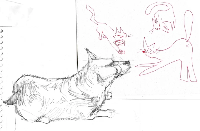 schdoodle ? doodle ? meshigane cat sketch old dood . L 
