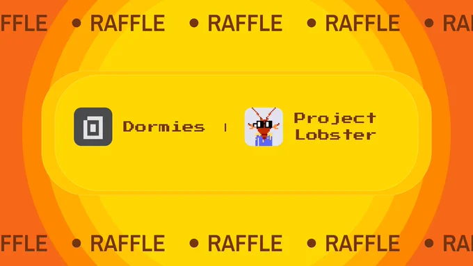 The raffle poster of Dormies and the Project Lobster 