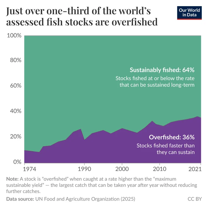 Stacked area chart of the share of assessed global fish stocks classified as biologically sustainable versus overexploited from 1974 to 2021, where the overexploited share rises from the 1970s and is about 35% in 2021 while biologically sustainable is about 65%. Data source: Food and Agriculture Organization of the United Nations (2025). License: CC BY.
