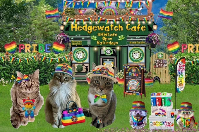 Left to right: Jules with rainbow colored ribbon by her right ear wearing Happy Pride bead bracelet on her right paw and carrying a rainbow dressed teddy bear. Mooch wearing rainbow colored Pride skull cap, also wearing Happy Pride bead bracelet on her right paw and carrying a rainbow colored tote. Earl wearing a rainbow colored straw hat, rainbow colored bow tie and rainbow colored watch on his right paw.

All three stand by Spike and Valerie hedgehogs with their slush hoggie stand. All in front of the Hedgewatch Cafe.

Left to right:
Jules shorthaired Torbie kitty girl Mooch grey longhaired tabby kitty girl 
Earl grey shorthaired tabby kitty boy
All three have green eyes.