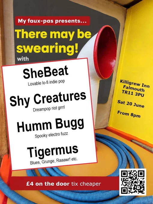 poster for Falmouth gig June20