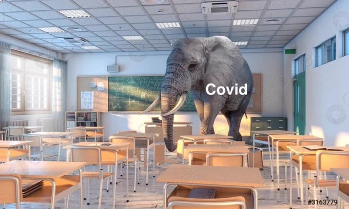 The covid elephant in the room. 