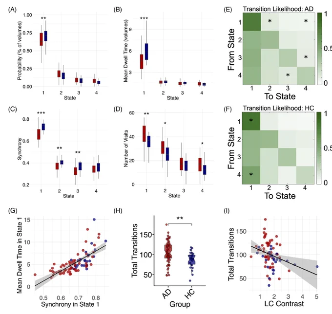 Multi-panel figure comparing brain-state dynamics in Alzheimer’s disease (red) and healthy controls (blue). Box plots show controls spend more time in State 1, the global coherence state, with higher probability, longer dwell time and greater synchrony, while people with Alzheimer’s make more visits to states and more transitions overall. Transition-likelihood matrices and scatter plots show that more time in State 1 goes with higher synchrony, and that greater locus coeruleus integrity is associated with fewer transitions between states.