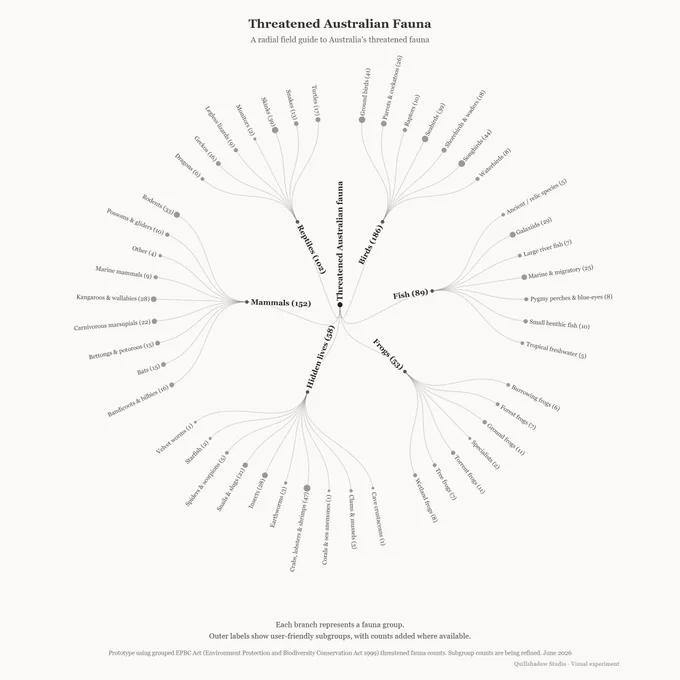 Radial tree diagram titled “Threatened Australian Fauna”. The centre node branches into major fauna groups including Birds, Mammals, Reptiles, Fish, Frogs, and Hidden lives. Each group branches into smaller user-friendly subgroups such as Skinks, Shorebirds, Bats, Tree frogs, and Insects. The visual uses fine grey lines, small circular nodes, and a pale background.