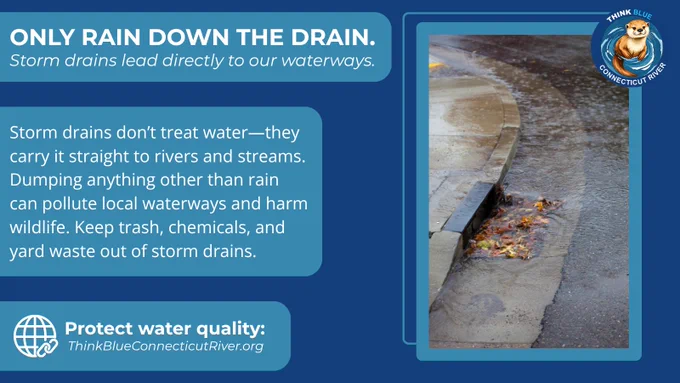Graphic showing rainwater flowing into a curbside storm drain. Text explains that storm drains carry water directly to rivers and streams and reminds residents to keep trash, chemicals, and yard waste out of drains. Think Blue Connecticut River logo displayed.