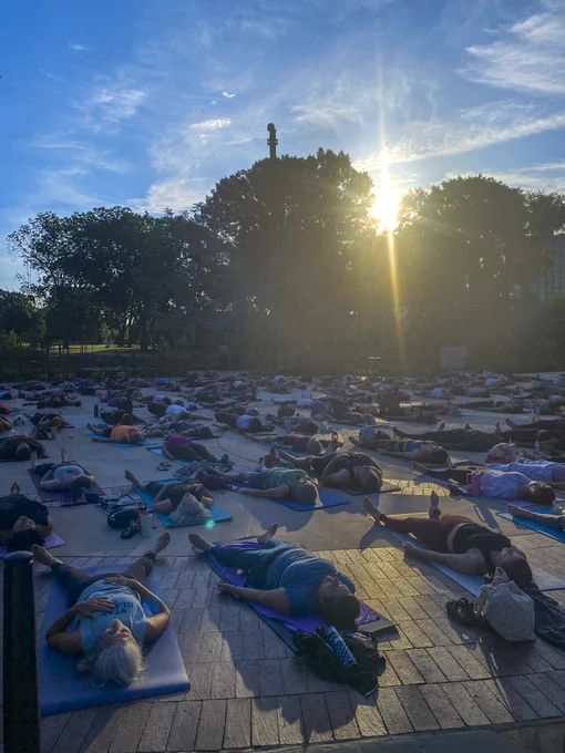 Large group practicing outdoor yoga on mats during sunrise with sun shining through trees in park.
