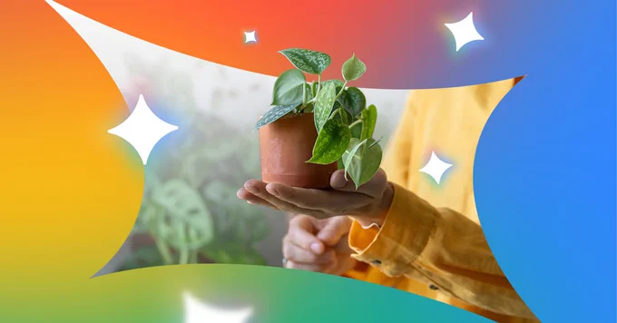 I spent years overthinking houseplants until Gemini helped me get started on a hobby I'd put off for years