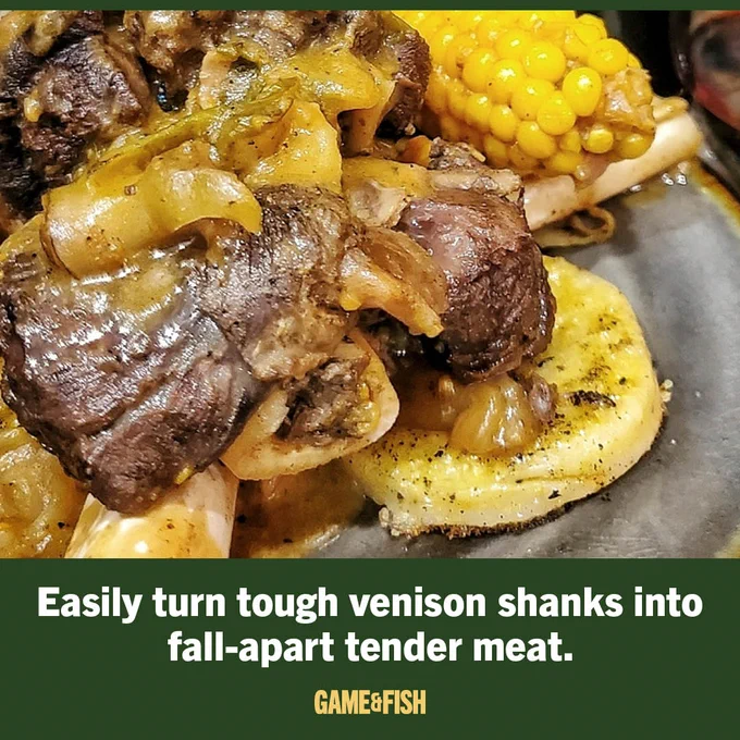 A close-up of cooked venison shanks with onions, placed on top of sliced potatoes. Corn on the cob is visible in the background. Text overlay reads: "Easily turn tough venison shanks into fall-apart tender meat. GAME & FISH."