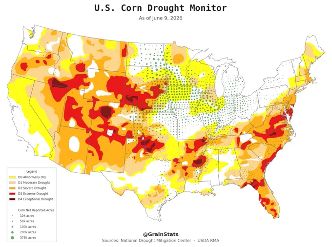 US Corn Drought Monitor - As of June 9th, 2026