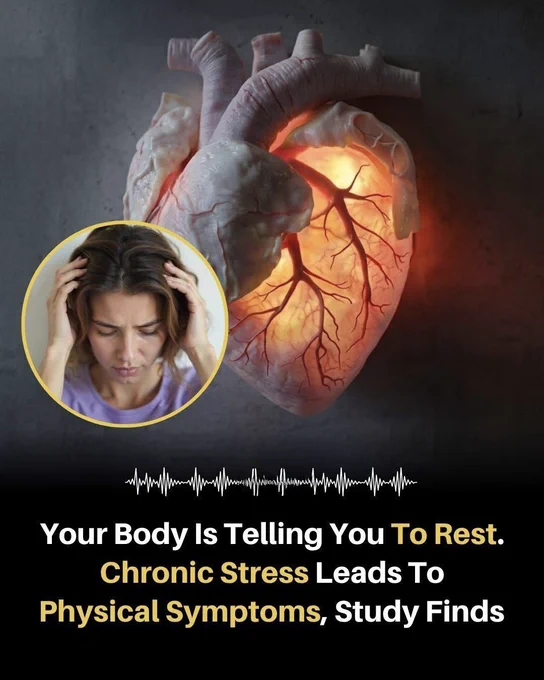 🚨 YOUR BODY IS TRYING TO TELL YOU SOMETHING 
Heart racing. Headaches. Acid reflux. Sleepless nights.
What if these symptoms are not the real problem, but a warning signal?
When stress and anxiety stay active for too long, your body can become stuck in survival mode. Over time, this can affect your heart, digestion, sleep, and overall health.
Sometimes the answer is not to push harder—it is to rest, slow down, and listen to what your body has been saying all along.
Source:
American Psychological Association. Stress effects on the body.