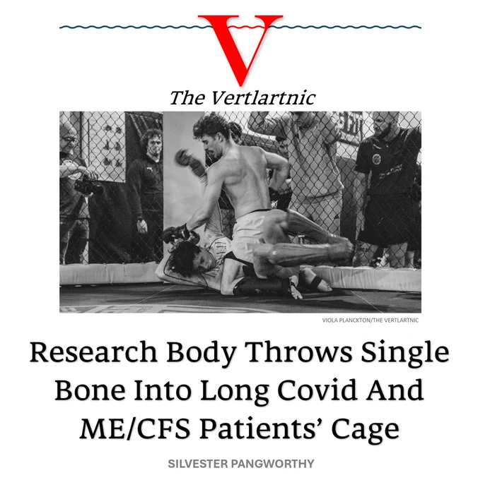 A cage fight
Headline:
Research Body Throws Single Bone Into Long Covid And ME/CFS Patients’ Cage
Story by Viola Planckton and Silvester Pangworthy

Photo from Unsplash