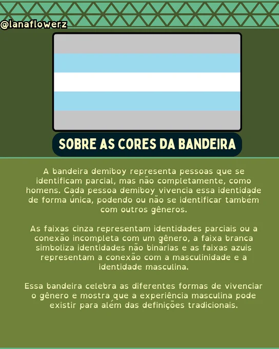 A bandeira demiboy representa pessoas que se identificam parcial, mas não completamente, como homens. Cada pessoa demiboy vivencia essa identidade de forma única, podendo ou não se identificar também com outros gêneros.

As faixas cinza representam identidades parciais ou a conexão incompleta com um gênero, a faixa branca simboliza identidades não binárias e as faixas azuis representam a conexão com a masculinidade e a identidade masculina.

Essa bandeira celebra as diferentes formas de vivenciar o gênero e mostra que a experiência masculina pode existir para além das definições tradicionais.