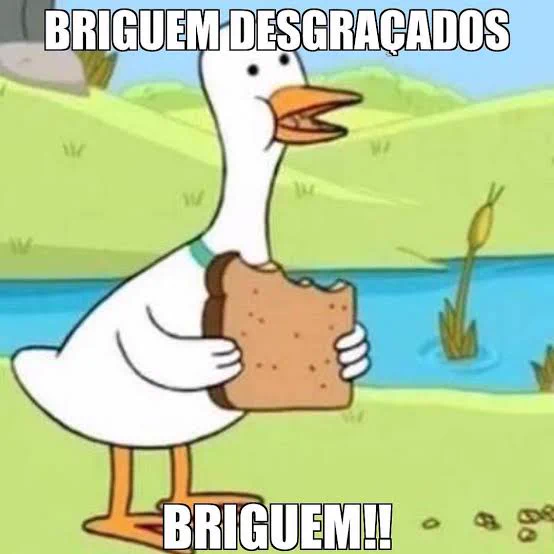Meme, pato segurando um pão de forma falando: briguem, desgraçados, briguem 