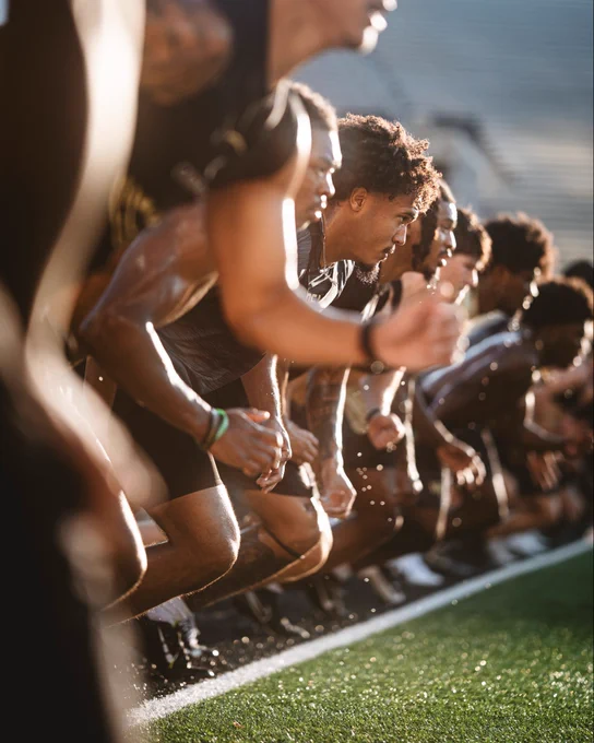 Wake Forest football