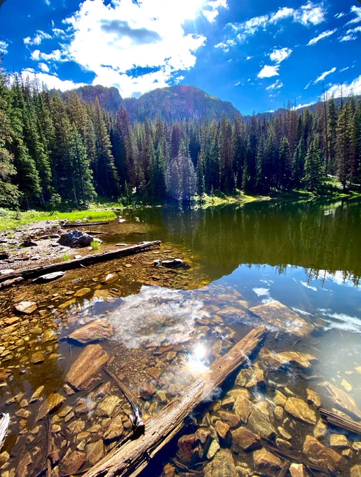 Mountain lake in Carson National Forest surrounded by evergreen trees, with rocky shoreline in the foreground, clear water reflecting clouds and forest, and rugged peaks rising in the background beneath a bright blue sky.