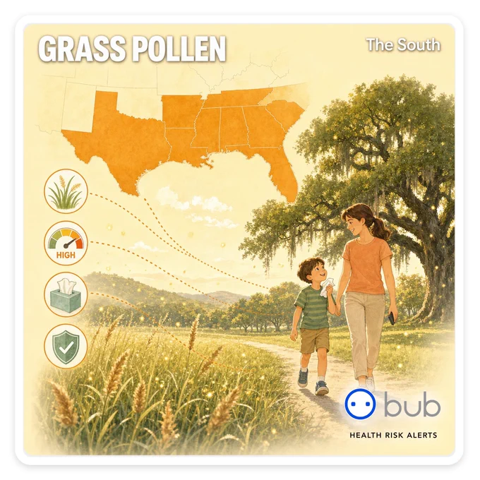 Illustration of a sunny Southern grassy field with a family walking; a US map shades the South for grass pollen. Labels read GRASS POLLEN and The South.