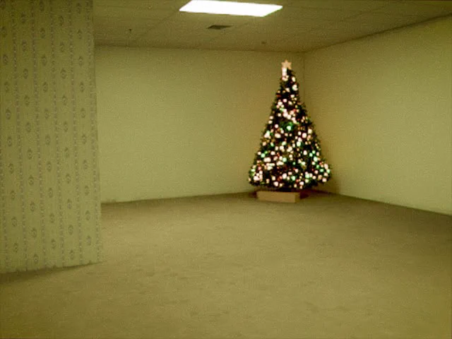 LEVEL 0 IN HOLIDAY.

WHERE DID THE CHRISTMAS TREE COME FROM?