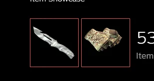 #cs2trading #cs2 #market #gloves #knife #nice #combo #2026