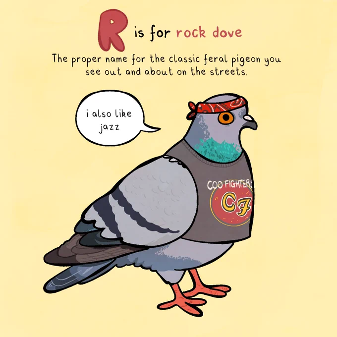 a drawing of a pigeon wearing a red bandana, and a grey vest that says 'coo fighters' with a modified foo fighters logo. the background is pale yellow. the header says 'r is for rock dove'. text below says:

'The proper name for the classic feral pigeon you see out and about on the streets.'

the pigeon says 'i also like jazz'