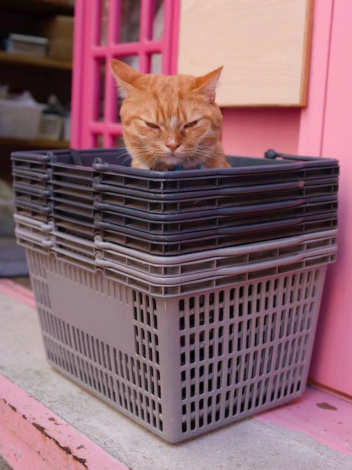 A ginger cat sitting inside a stack of shopping baskets.