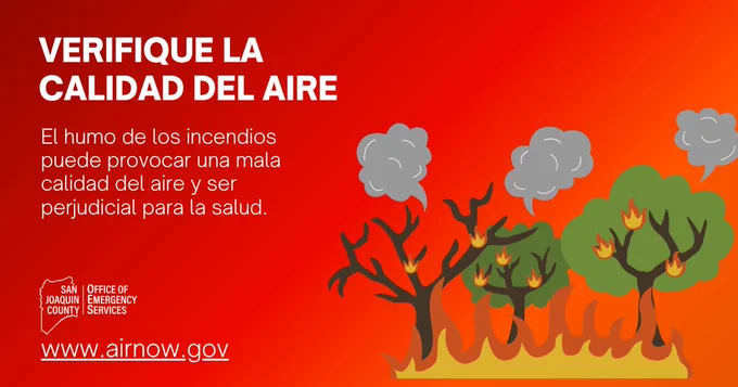 Trees on fire with smoke rising