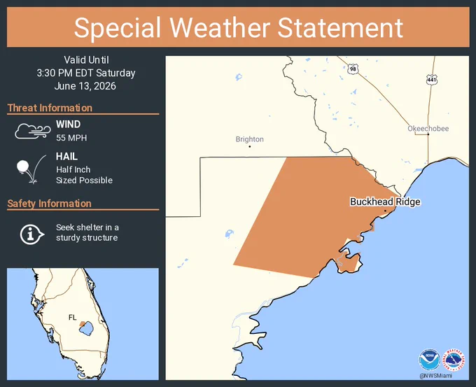 This graphic displays a special weather statement plotted on a map. The statement is in effect until 3:30 PM EDT.  The statement includes Buckhead Ridge FL.  A strong thunderstorm will impact portions of northeastern Glades County through 330 PM EDT. The threats associated with this storm are wind gusts up to 55 MPH and half inch sized hail. Seek shelter in a sturdy structure until the storm passes.