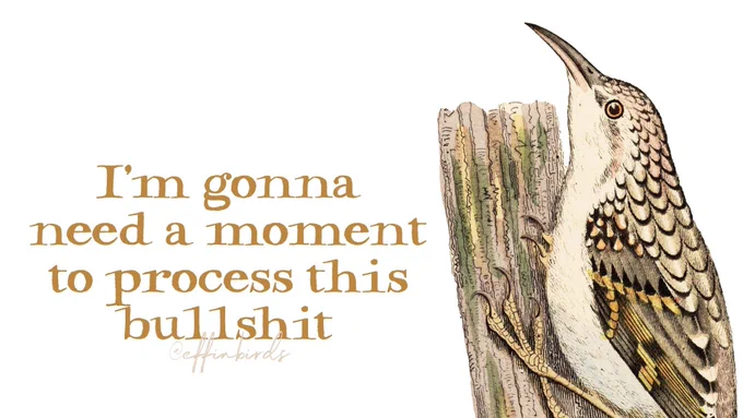 A painting of a bird next to the words "I'm gonna need a moment to process this bullshit"