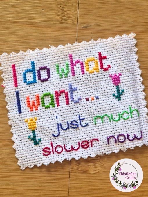 Mini colourful cross stitch saying 'I do what I want...just much slower now'