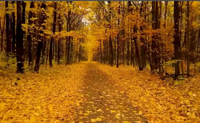 Source:  https://www.youtube.com/watch?v=AZvjsWle4MQ