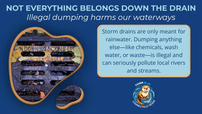 Graphic reading “Not Everything Belongs Down the Drain.” The image shows a storm drain and explains that storm drains are only meant for rainwater. It reminds residents that dumping chemicals, wash water, or waste into storm drains is illegal and harmful to local waterways. The Think Blue Connecticut River logo is displayed.