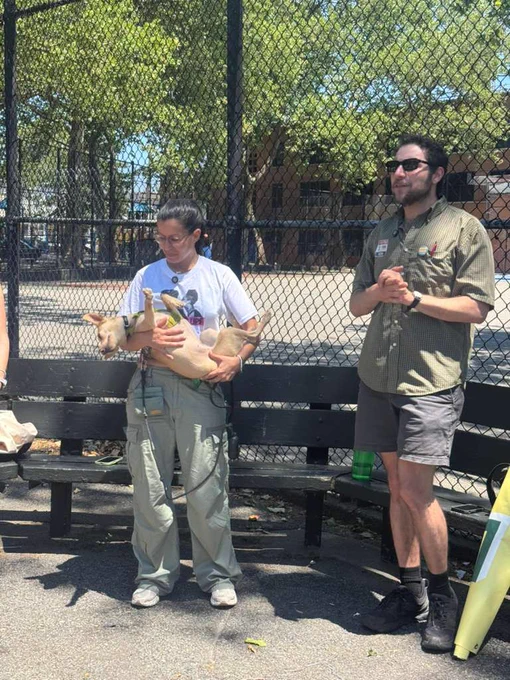 City Council Member Tiffany Caban with dog Ducky standing next to David Orkin.