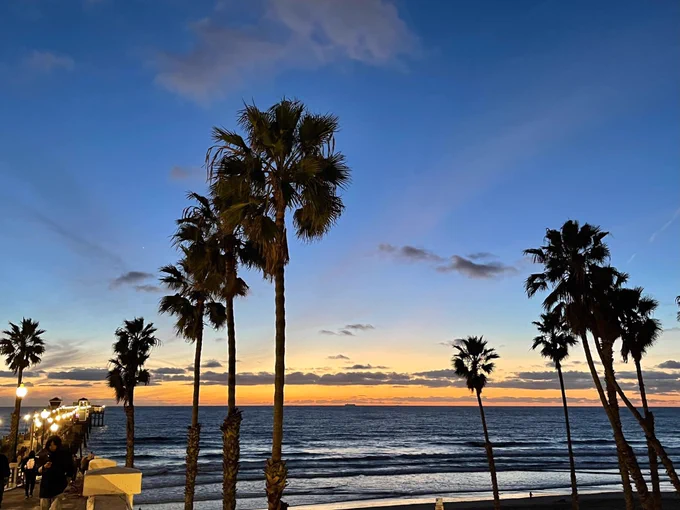 Palm trees at Oceanside Pier © @_jeffreyr