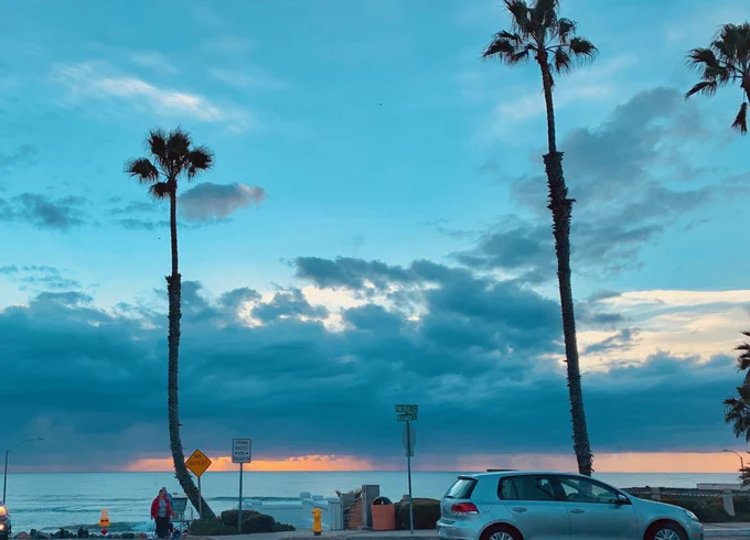 Palm trees in Oceanside, California © @_jeffreyr