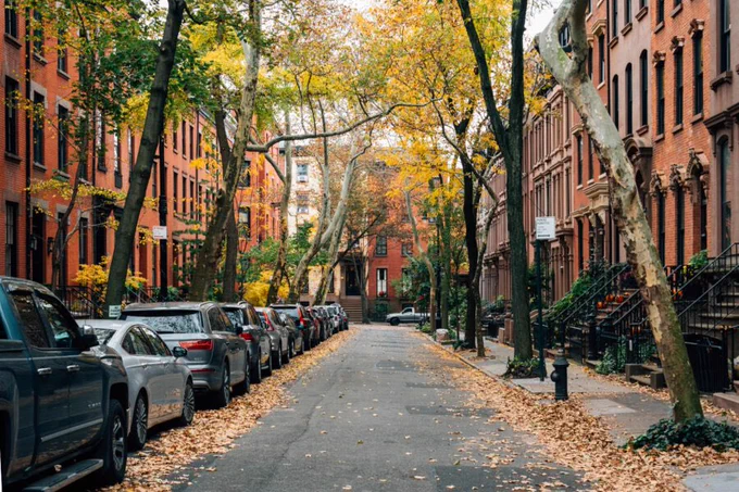 a brownstone-lined street in brooklyn heights, new york city