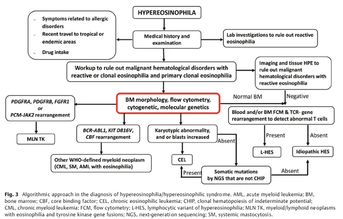 https://www.researchgate.net/publication/370068687_Laboratory_workup_of_Hypereosinophilia