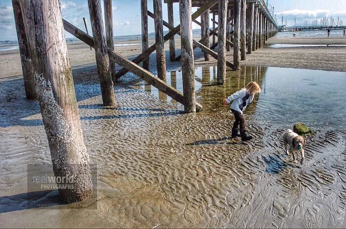 A boy and dog play near a pier in White Rock, British Columbia, Canada. Gary Moore photo. Real World Photographs. #Grok 
#Canada #WhiteRock   #garymoorephotography #realworldphotographs #Nikon #photography #BritishColumbia #people #travel #places