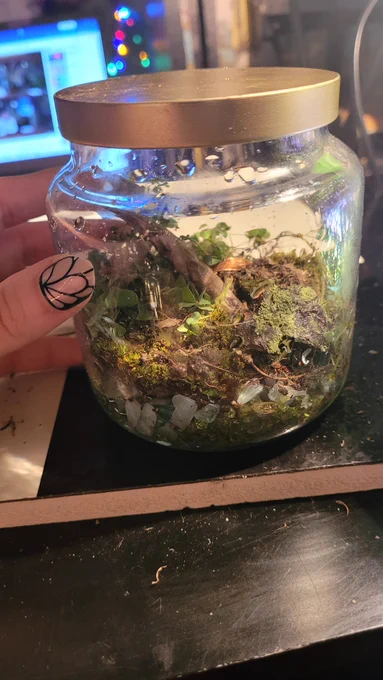 A little terrarium in a candle jar.