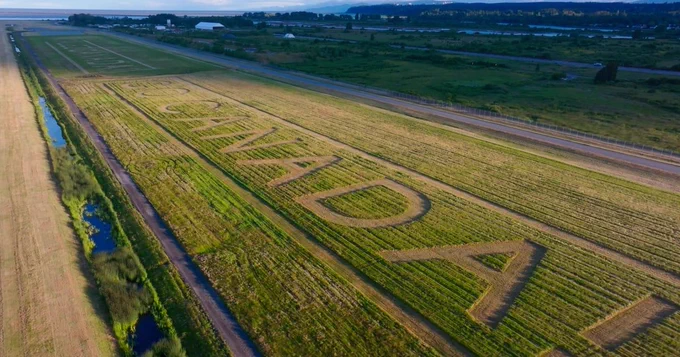 Vancouver airport workers cut welcome message for Team Canada in YVR grass