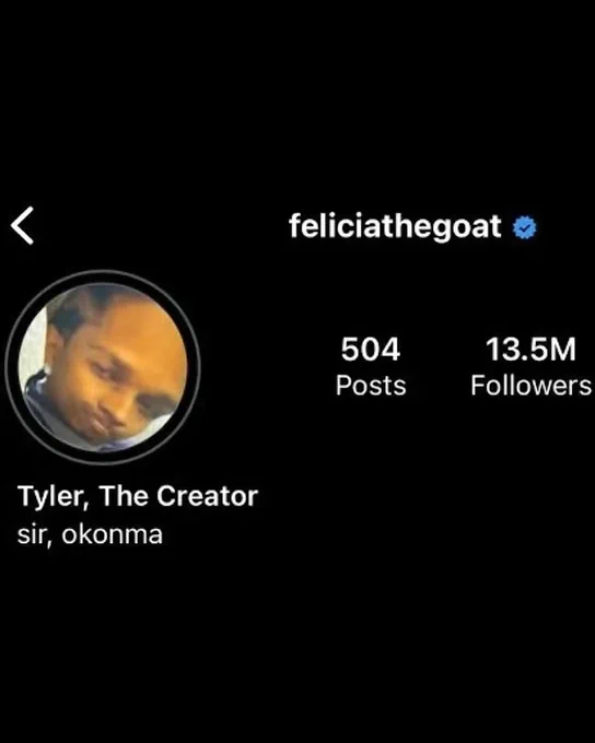 Screenshot of an Instagram profile named feliciathegoat with 504 posts and 13.5M followers. The profile name is Tyler, The Creator.